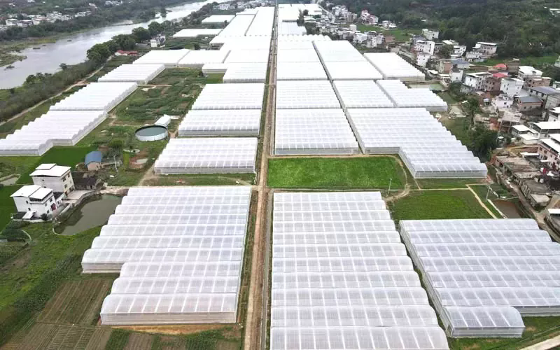 షెన్యాంగ్‌లోని మా ఫిల్మ్ గ్రీన్‌హౌస్ సైట్ మంచు కురిసింది